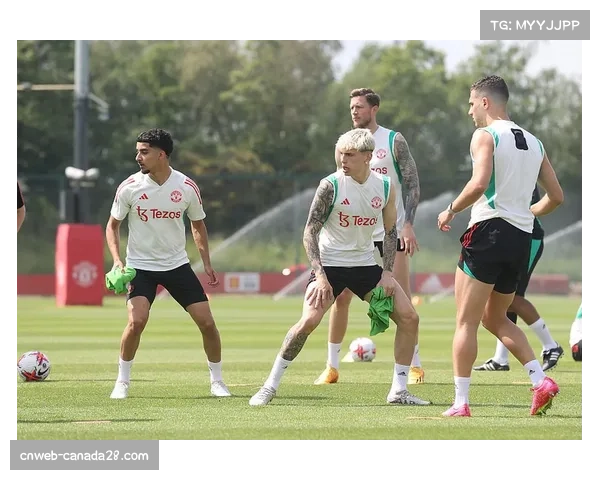 英超官方就富勒姆主场草坪质量问题对俱乐部提出警告